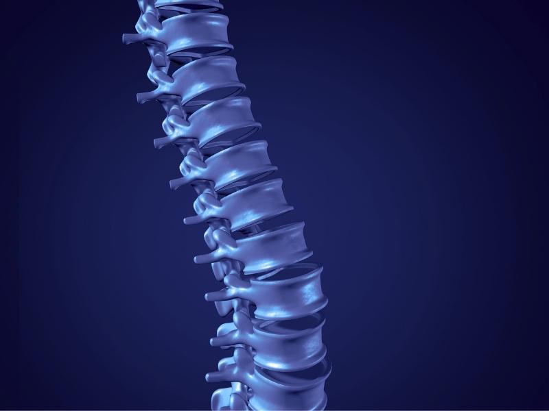 What is chiropractic care